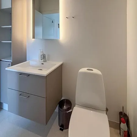 In With Indoor Swimming Pool Appartement Vejen